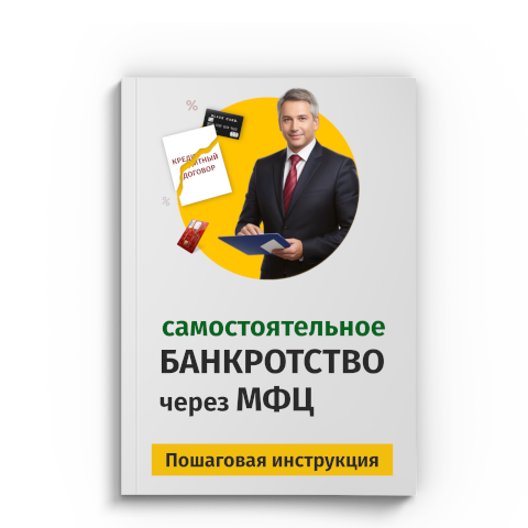 Пошаговая процедура банкротства через МФЦ в Владимире